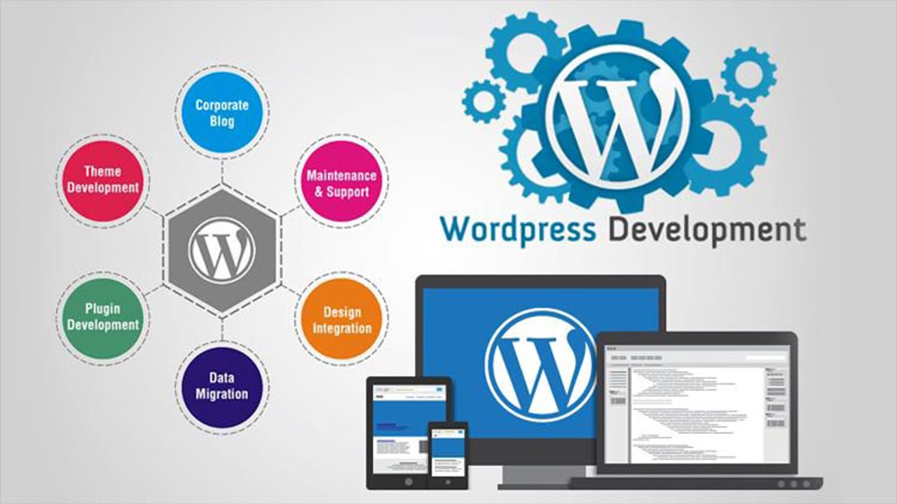 Custom Web Development Services: A Key to Online Success